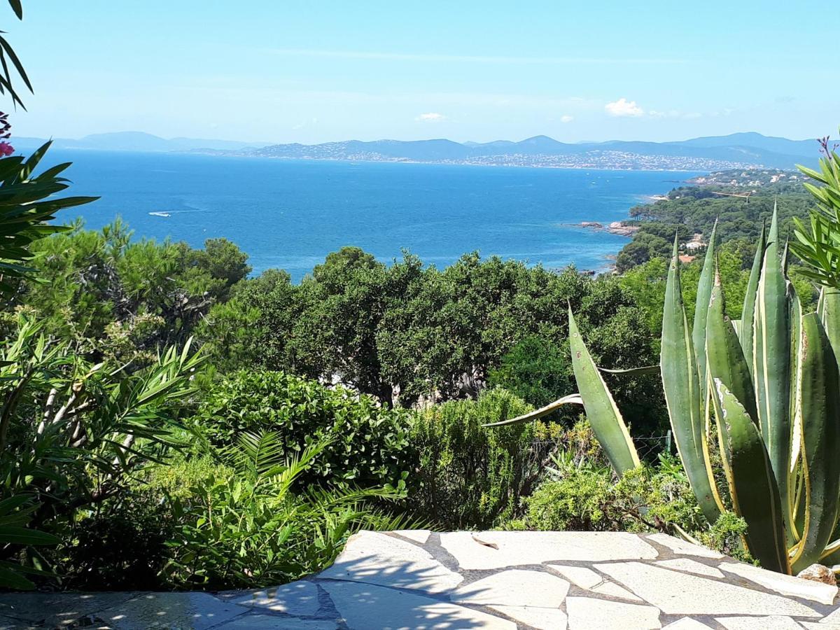 Duplex, Vue Panoramique Sur La Mediterranee, Piscine, Garage Saint-Raphael  Ngoại thất bức ảnh